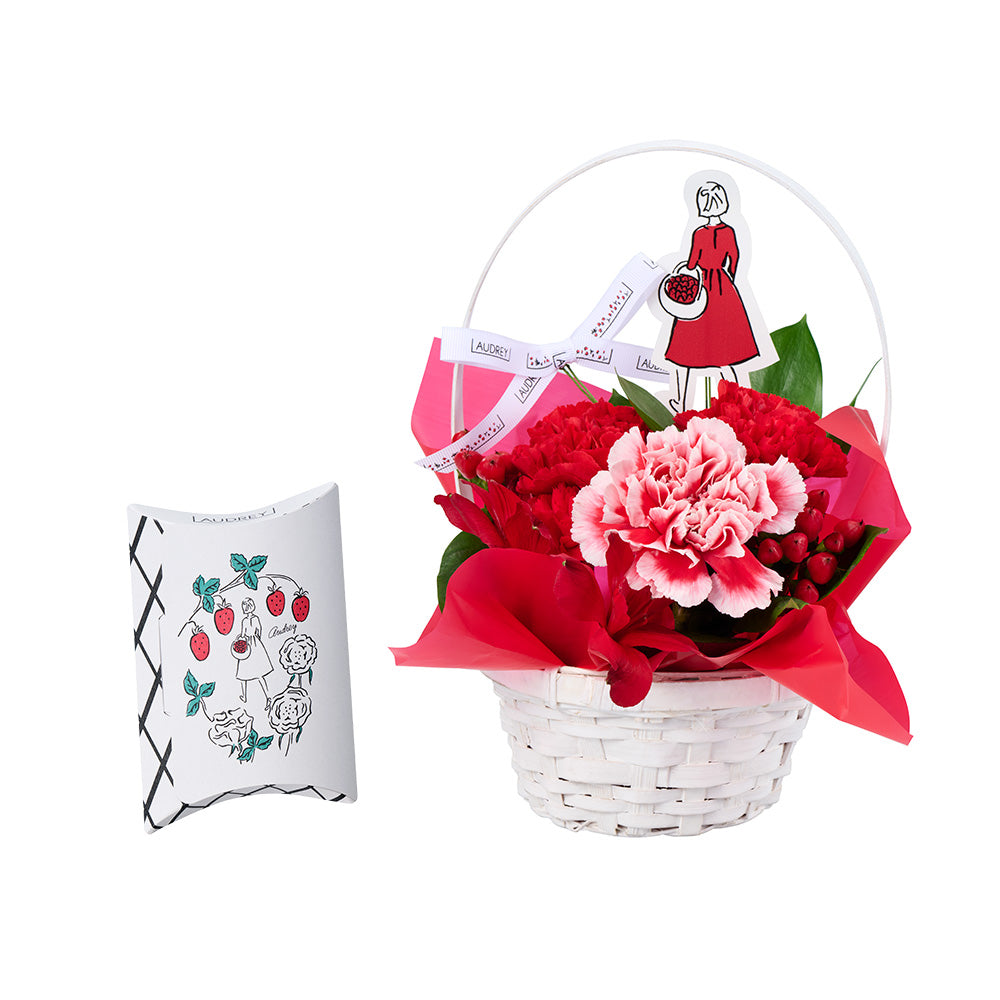 オードリーフラワーギフト(バスケット白)［AFG-50A］【おひとり様2個まで】